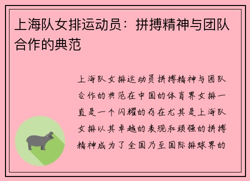 上海队女排运动员：拼搏精神与团队合作的典范